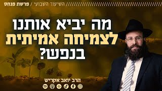 פרשת פנחס • מה יביא אותנו לצמיחה אמיתית בנפש? (הרב יואב אקריש) - התמונה מוצגת ישירות מתוך אתר האינטרנט יוטיוב. זכויות היוצרים בתמונה שייכות ליוצרה. קישור קרדיט למקור התוכן נמצא בתוך דף הסרטון