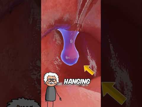 What is the Purpose of Your Uvula 😨