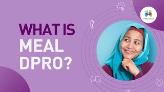 MEAL DPro: A Guide for Project Success