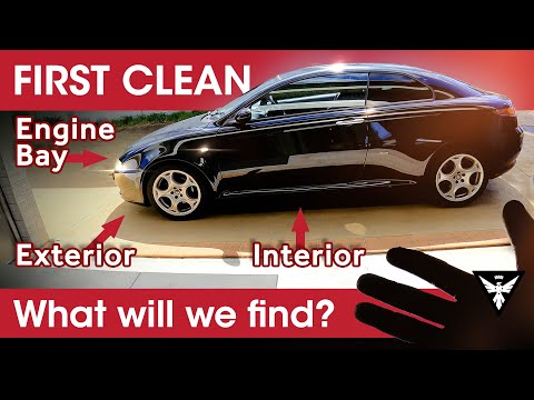 Alfa Romeo GT. Erste Wäsche und Detailpflege. Sie ist so schmutzig, aber ich liebe sie.