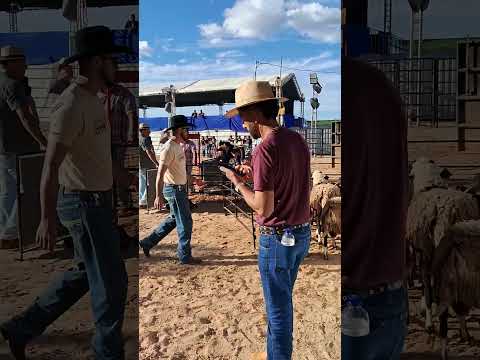 🤠🔥 RODEIO MIRIM EM VEREDINHA-MG FOI INSANO! OLHA ISSO!#like #automobile #youtubeshorts #money #mtb