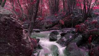 Boney James - Send One Your Love   [HQ]