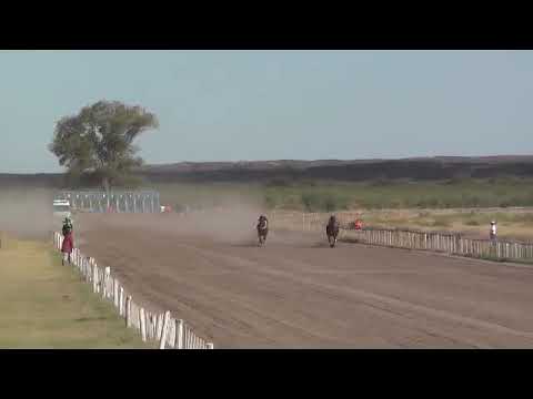 CONESA   13°   TILIN   12-2-23