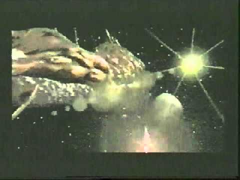 Fade to Black - Trailer