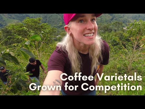 Colombian Specialty Coffee Farm Tour of Jardines del Eden by Cofinet (and lots of varietals!)