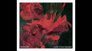 Carlo Costa Quartet - Soak
