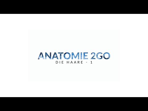 HAARE hat jeder - fast jeder (1/2) | Anatomie2Go