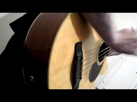 Tripman Project Presentation / Acoustic Guitar & Bass Duet