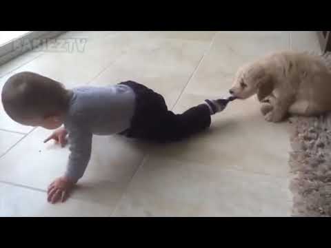 laeib alkilab mae al'atfal