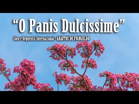 O Panis Dulcissime - Clave de Sol - Arautos do Evangelho