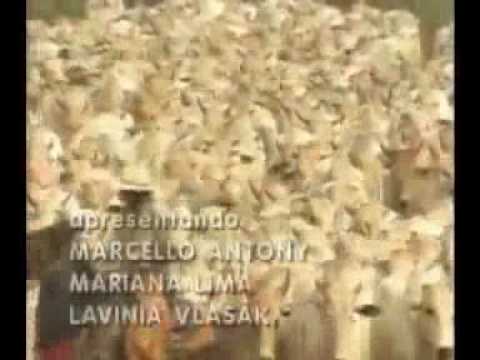 El Rey del Ganado español