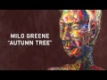 Milo Greene - Autumn Tree [Official Audio]