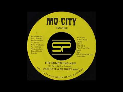 MODERN SOUL 45t - DANI RAYE & NATURE'S WAY - Try Something New - Mo-City