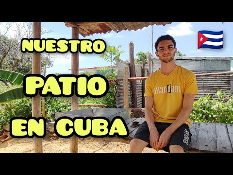 Todo esto SEMBRAMOS en nuestro PATIO en un Campo Cubano🇨🇺🌳