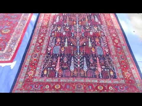 Bijar Rug Collection! For SALE!