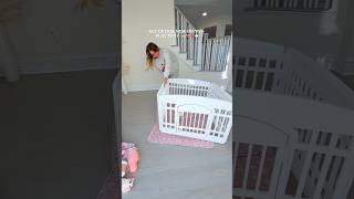 our new puppy is here🥹🎀✨ #playpen