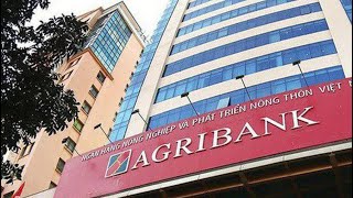 Agribank đấu giá 6 lô đất ‘vàng’ Quận 1 khởi điểm hơn 253 tỷ đồng