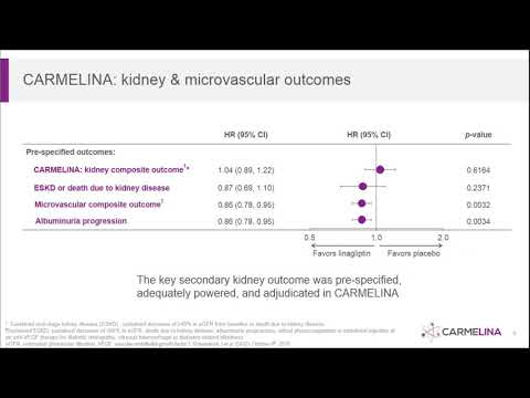 Linagliptin in Patients with Type 2 Diabetes Mellitus (CARMELINA) 2018