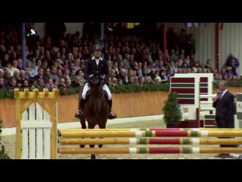 Campitello *2011 by Cador - Quick Star (Stallion Show Sosath 2017)