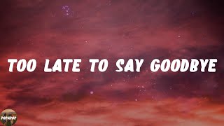 Cage The Elephant - Too Late To Say Goodbye (Lyrics)