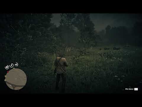 Let's Play Red Dead Redemption II - Part 41 - Wildlife Art Exhibition