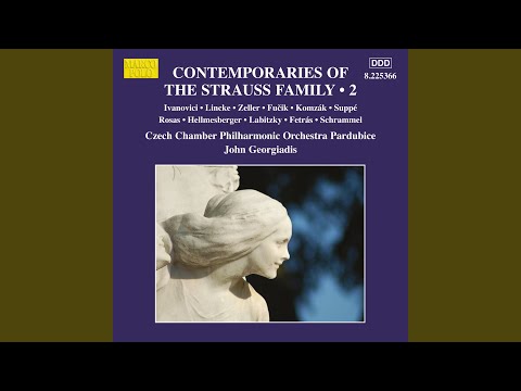 Das Veilchenmädel: Fidele Brüder