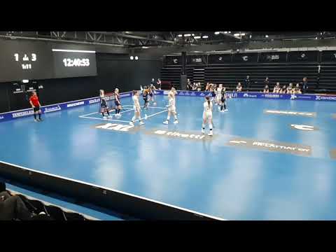 T21: 2. PVE Pirkat - EräViikingit 26.3.2023 maalikooste