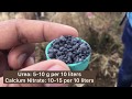 How To Drench The Seedlings With Fertilizer