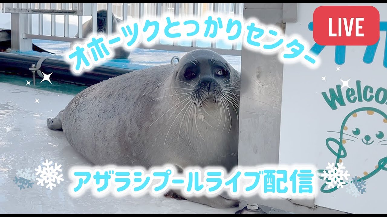 オホーツクとっかりセンター ライブ配信