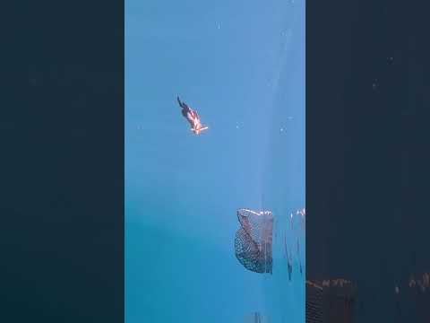 #fishing #釣り #北海道