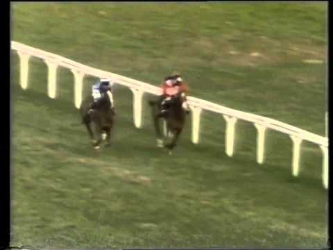 Arkle Challenge Trophy Bobsline and Noddys ride.avi