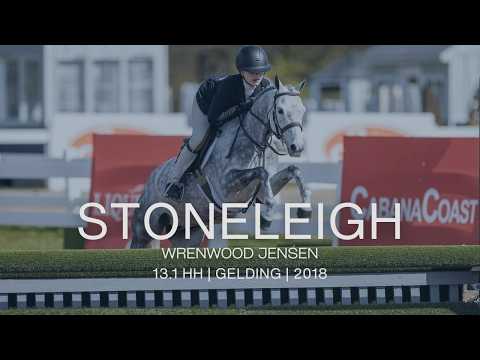 Stoneleigh video 2