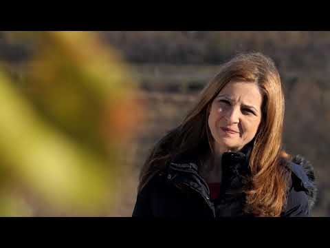 Biram selo ep.48 - Vinarija Kosović, Sremski Karlovci - 27.11.2019.