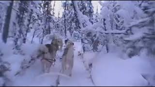 13 The Ventures - Sleigh Ride