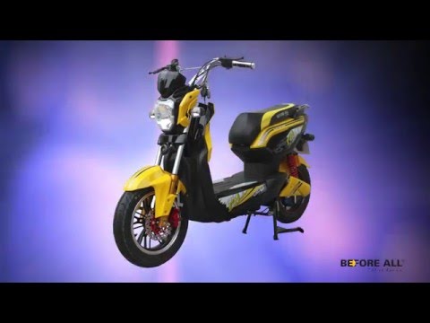 Các mẫu xe của thường hiệu Before All