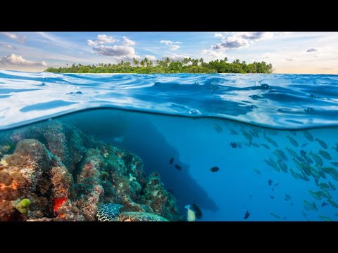 "The Sandy Beach Sensei Show" Ep. 2