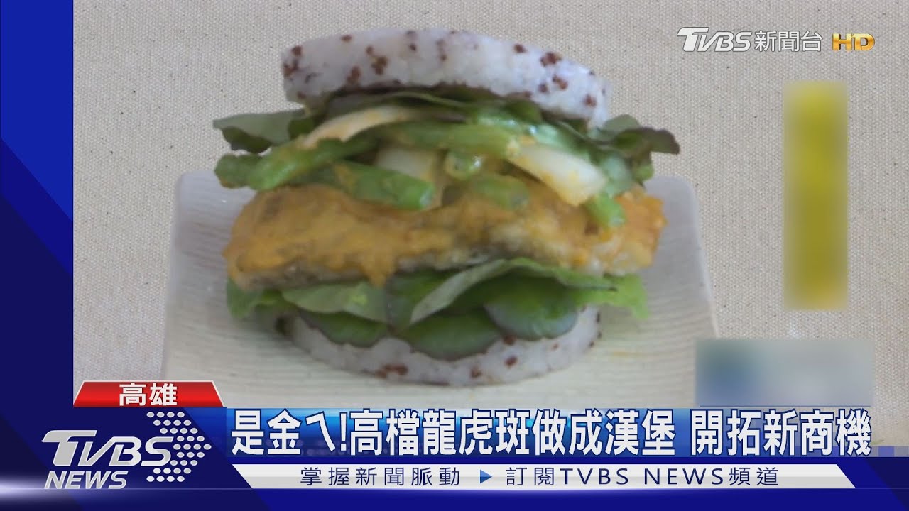 是金ㄟ!高檔龍虎斑做成漢堡 開拓新商機
