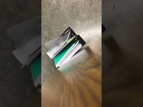 Här är vi med julgran på släden