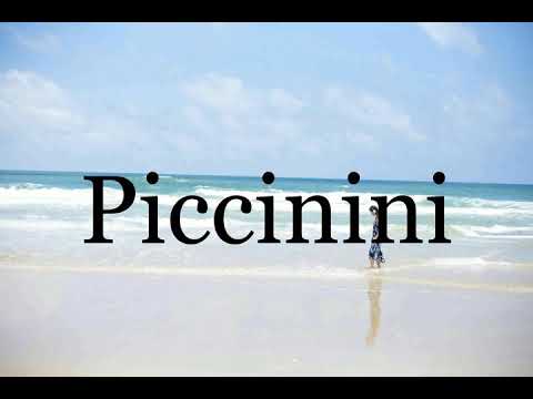 How To Pronounce Piccinini🌈🌈🌈🌈🌈🌈Pronunciation Of Piccinini