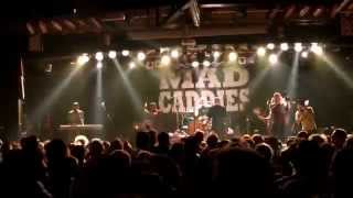 Mad Caddies - Brand New Scar (Live, Munich Backstage 28.07.2014)