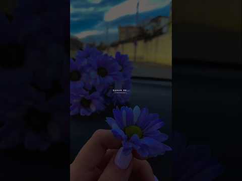 Sanam Re Sanam Re Tu Mera Sanam Hua Re Status❤️ | Lyrics Status | #lofi #shorts