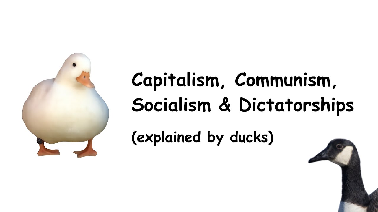 Capitalism, Communism, Socialism & Dictatorships (explained by ducks)