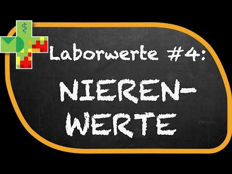 Creatinine: Understanding kidney values