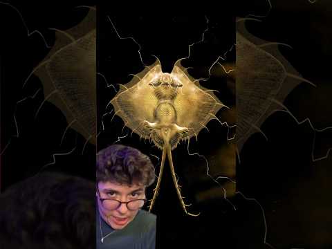 King Ghidora Already Exists #shorts