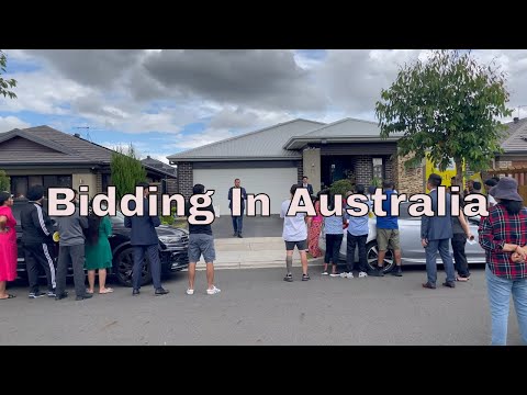 First Time Ever Attended A Sydney Auction /Bidding in Australia / Joyride