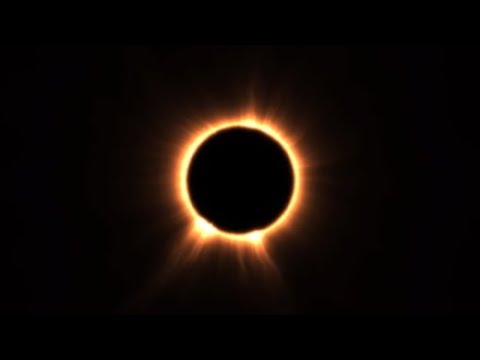 2 Tage Clips| Adam Ffm