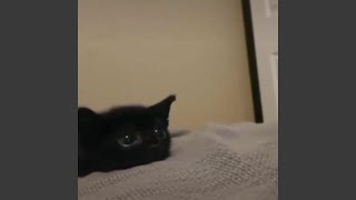 Cover art for smile music