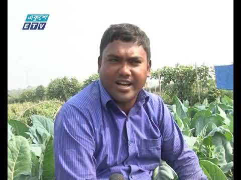 চট্টগ্রামে সবজির ন্যায্য দাম না পেয়ে হতাশ কৃষক
