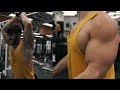 Insane 1000 Rep Arm Challenge