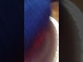 Part4 Of Elmo Birthday